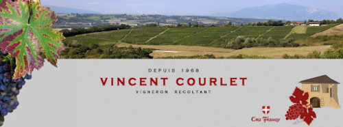 Logo Vincent Courlet